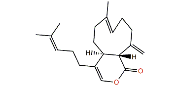 Acalycigorgin C